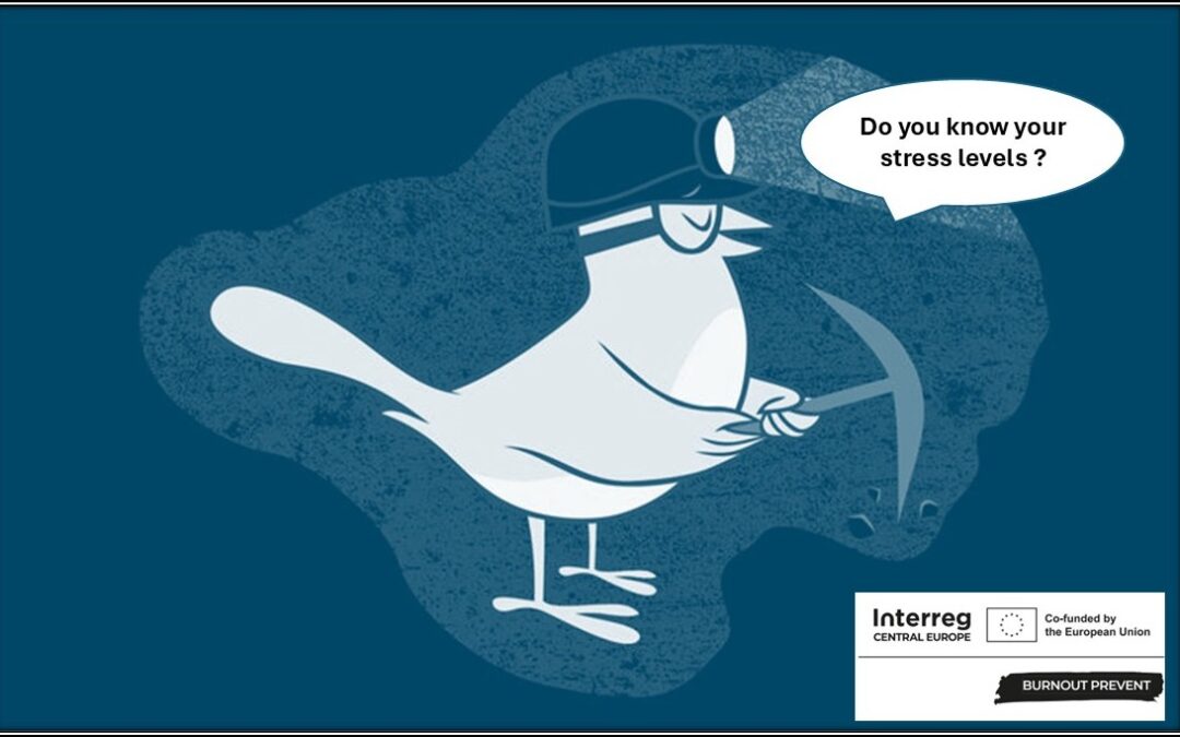 ARE YOU AWARE OF YOUR ATTITUDE TOWARDS STRESS?