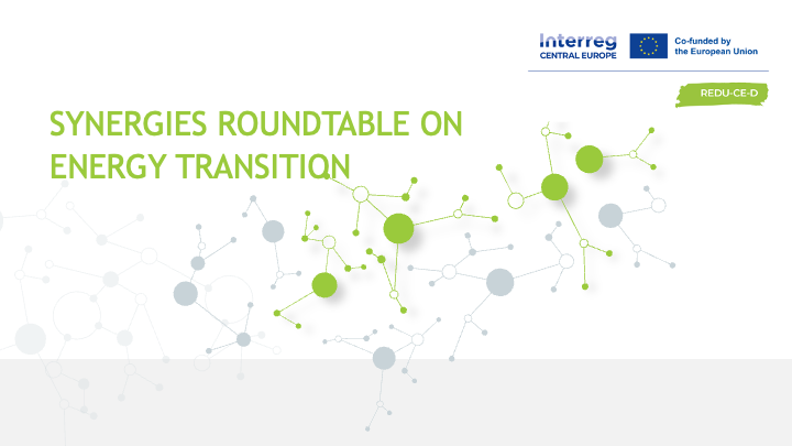 REDU-CE-D at the Interreg CENTRAL EUROPE Synergies Roundtables