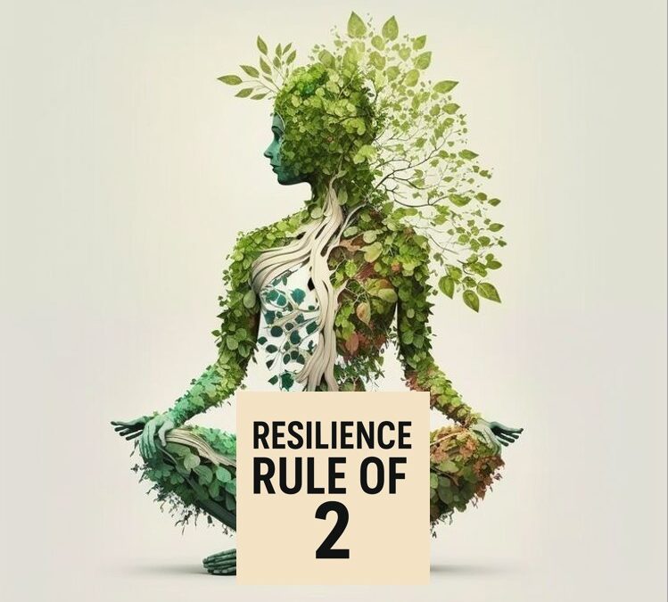 THE »RESILIENCE RULE OF 2«