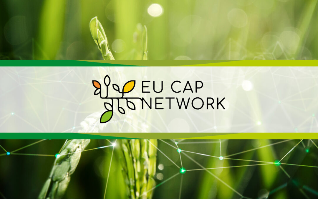 EU CAP Network Seminar: where we are and where we are going