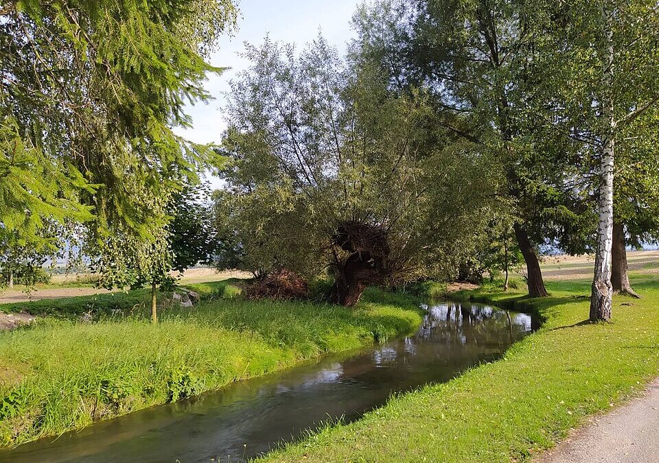 Co-Design Workshop – Tok Teplica, Senica