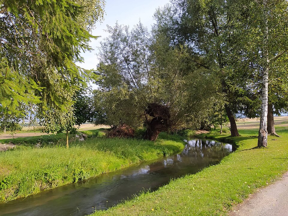 flow of the Teplica stream