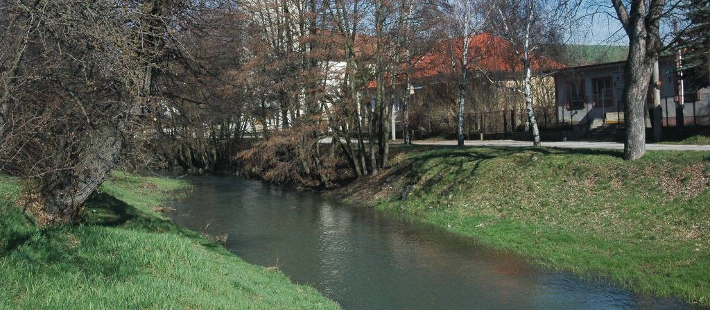 Flow of the Teplica stream