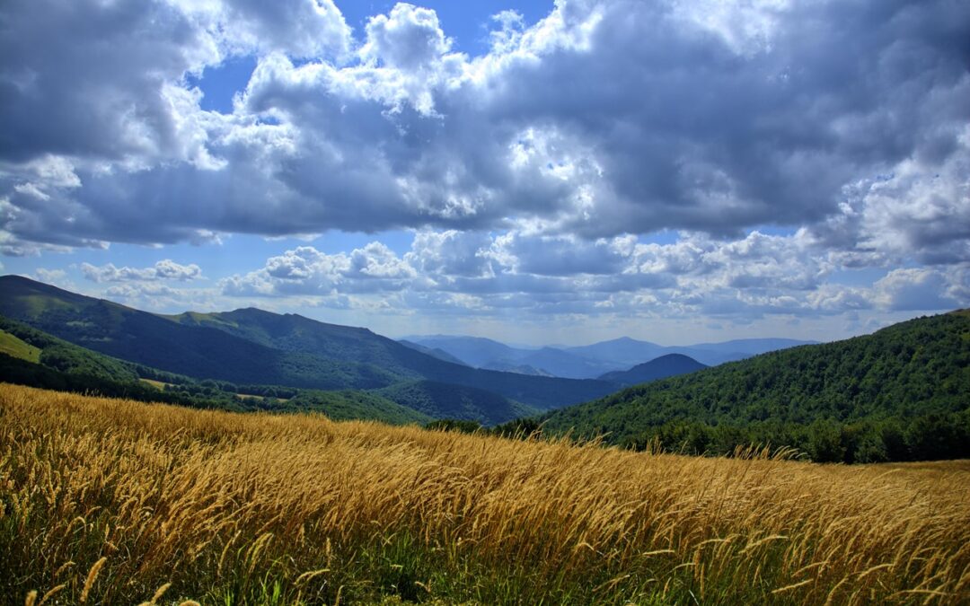 Kick-off Meeting – Let’s Launch the Central Mountains Project!