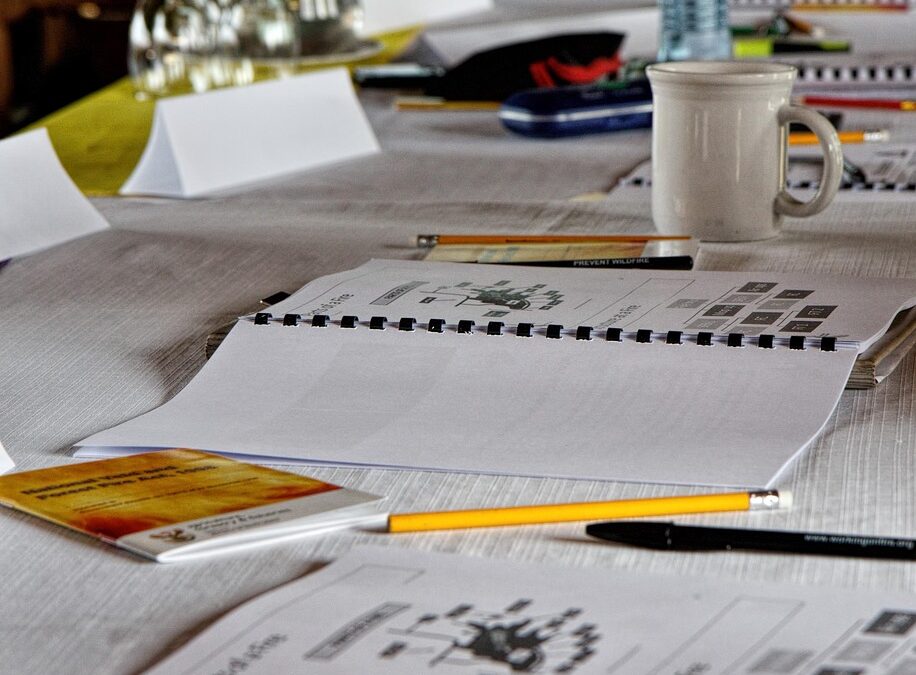 Building pathways for digital therapeutics in Slovenia