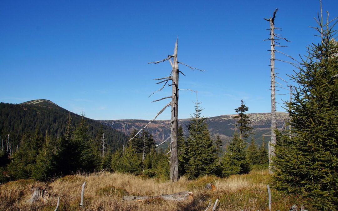 Discover Cross-Border Solutions in the Sudetes – study visit!