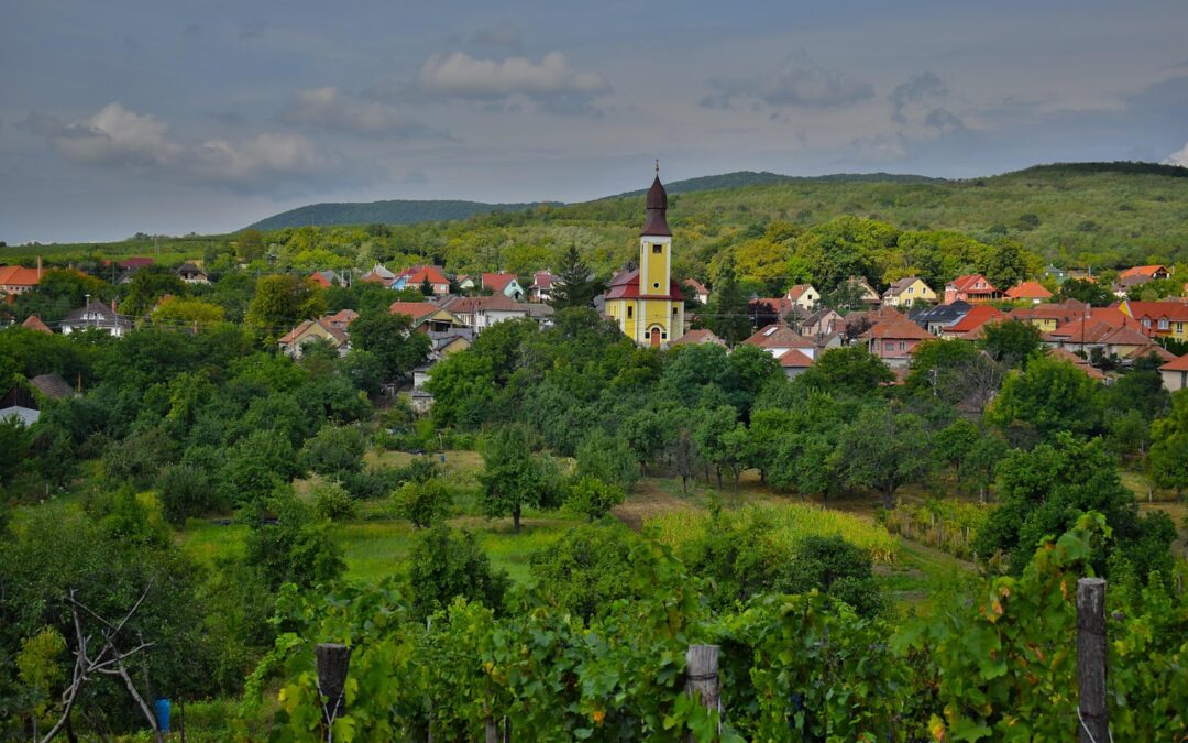 Inclusive Communities and Civil Society in Focus – Study Visit in Hungary
