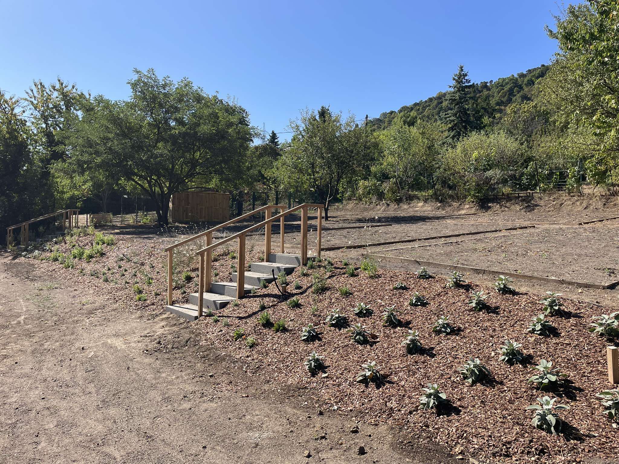 Budapest plot garden