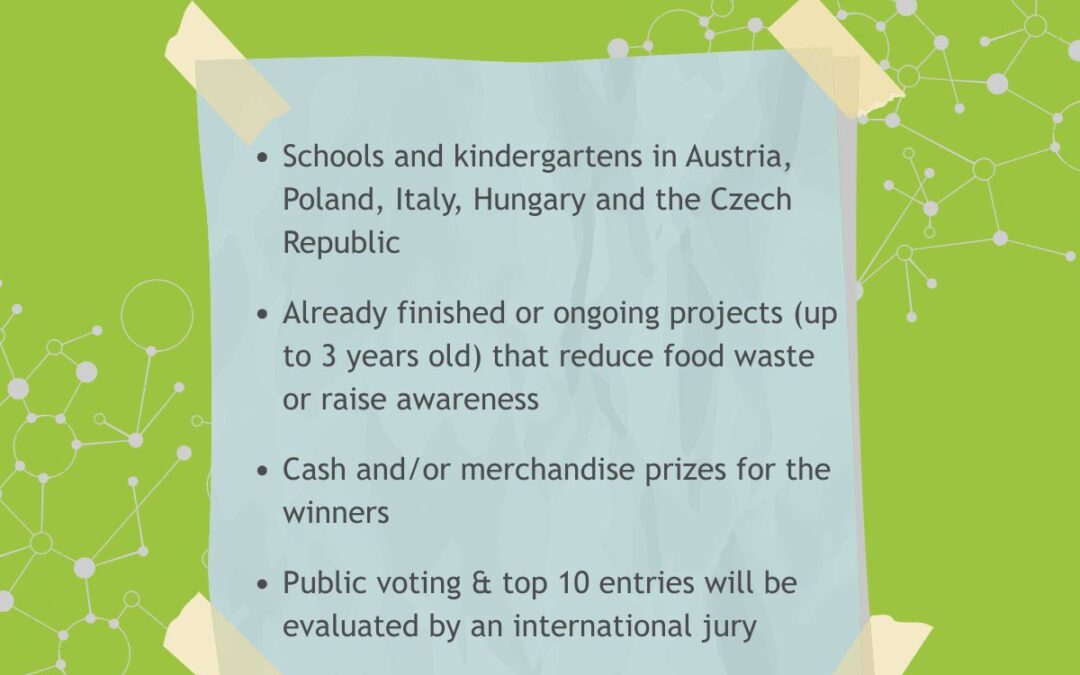 International Competition for Schools and Kindergartens – what’s at stake?