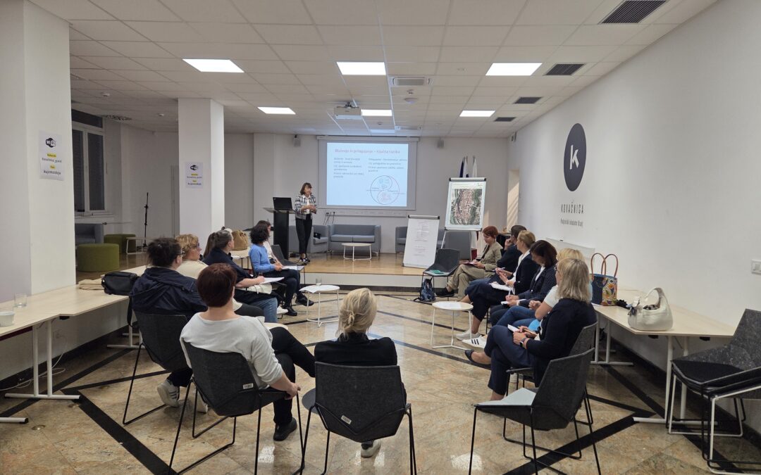 Synergies Between Climate Change Adaptation and Cultural Heritage in Kranj