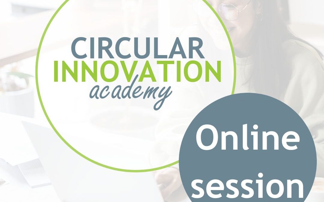 Online session of the Circular Innovation Academy
