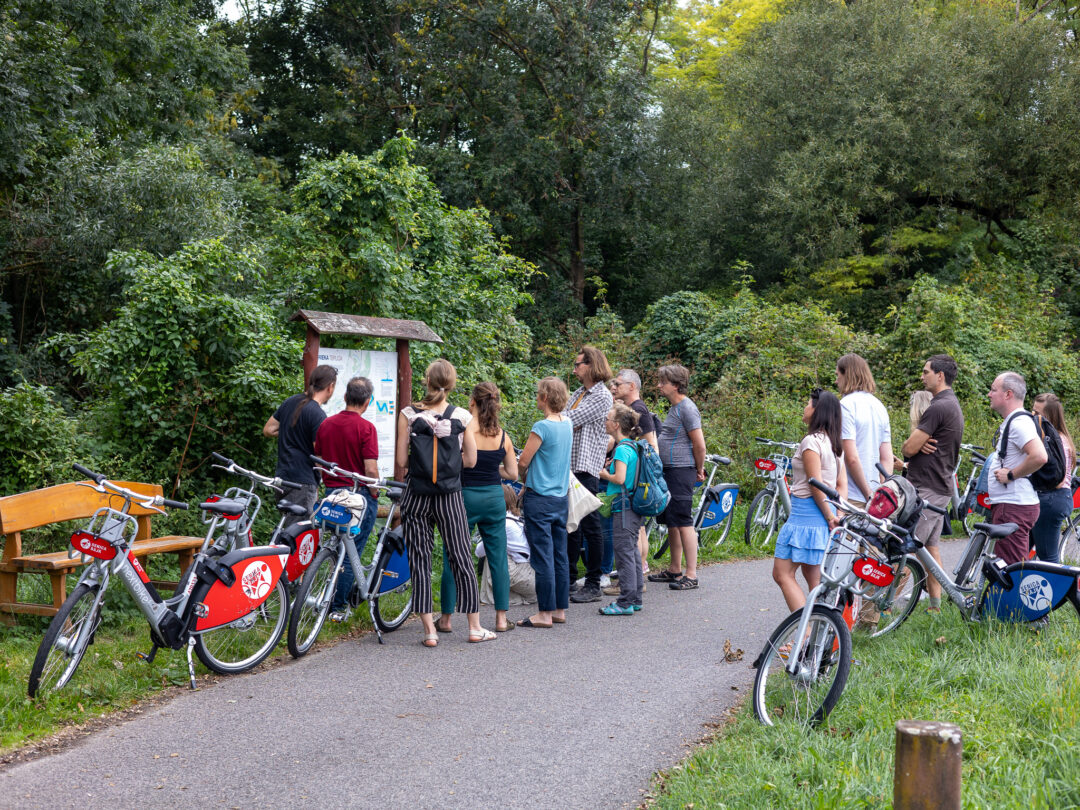 Tour along the stream Teplica