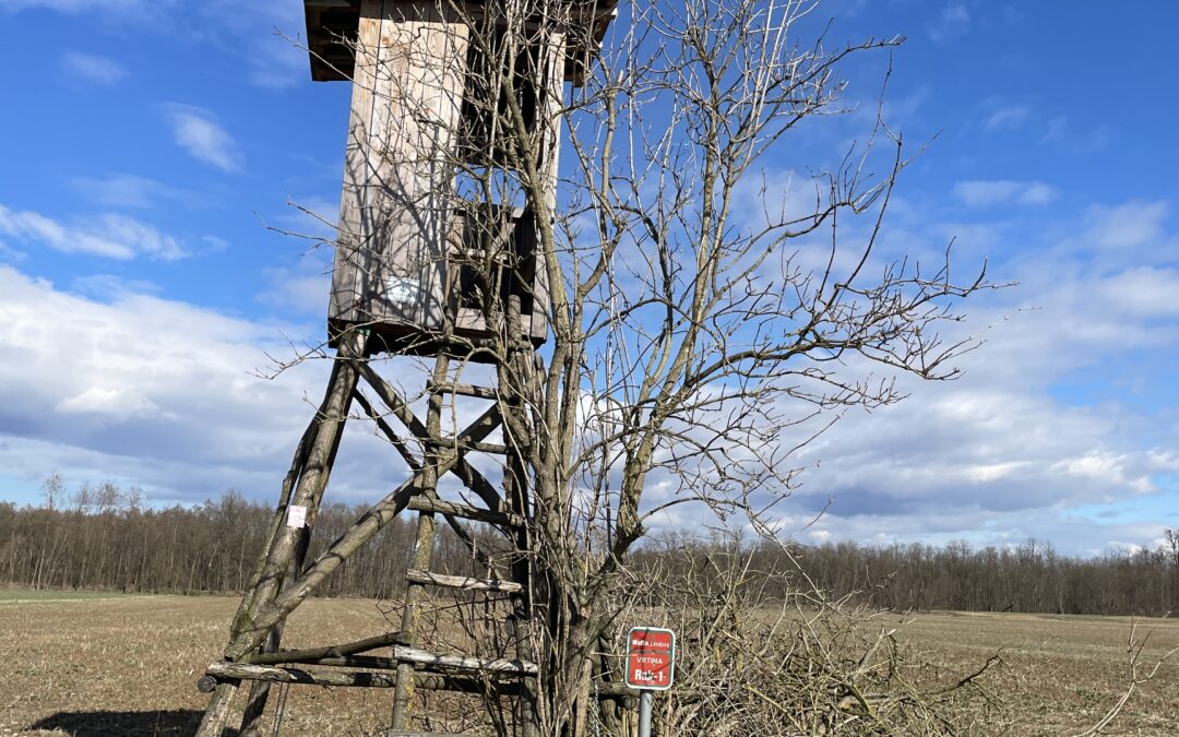 Geothermal Energy – A Step Towards a Green Future