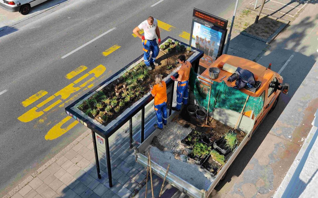 First Green Bus Shelters in Maribor