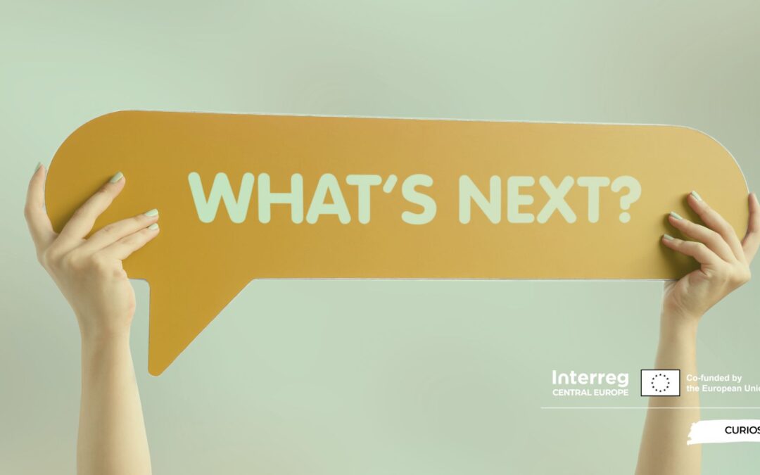 CURIOST project meeting #4 in Linz