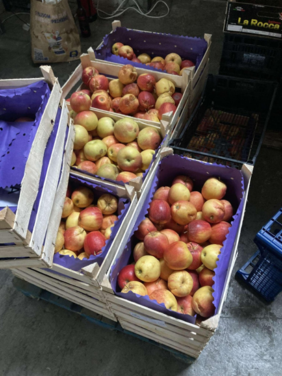 Pilot action success story: Turning surplus into solutions