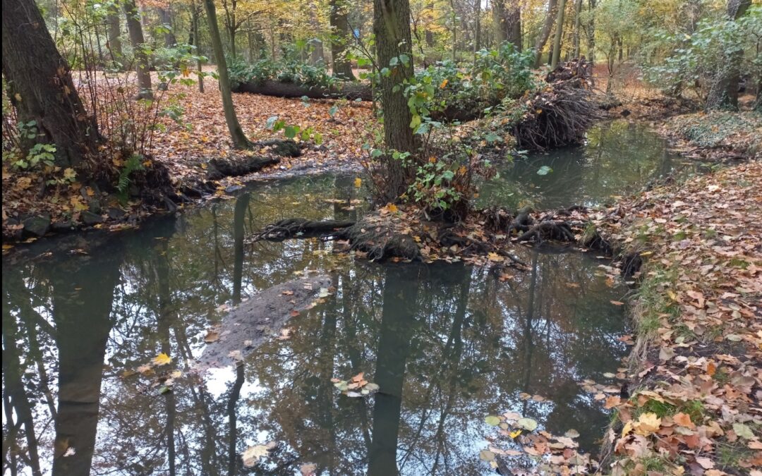 Nature walk in the Bogdanka Valley
