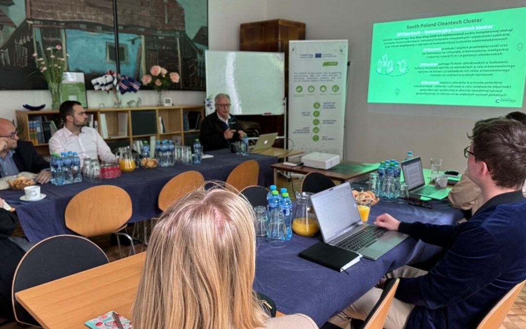 The role of public partnerships in creating synergies for Interreg Central Europe projects