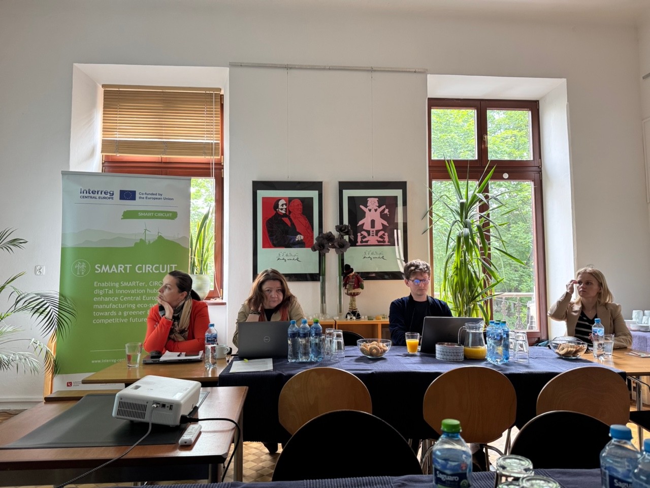 The role of public partnerships in creating synergies for Interreg Central Europe projects