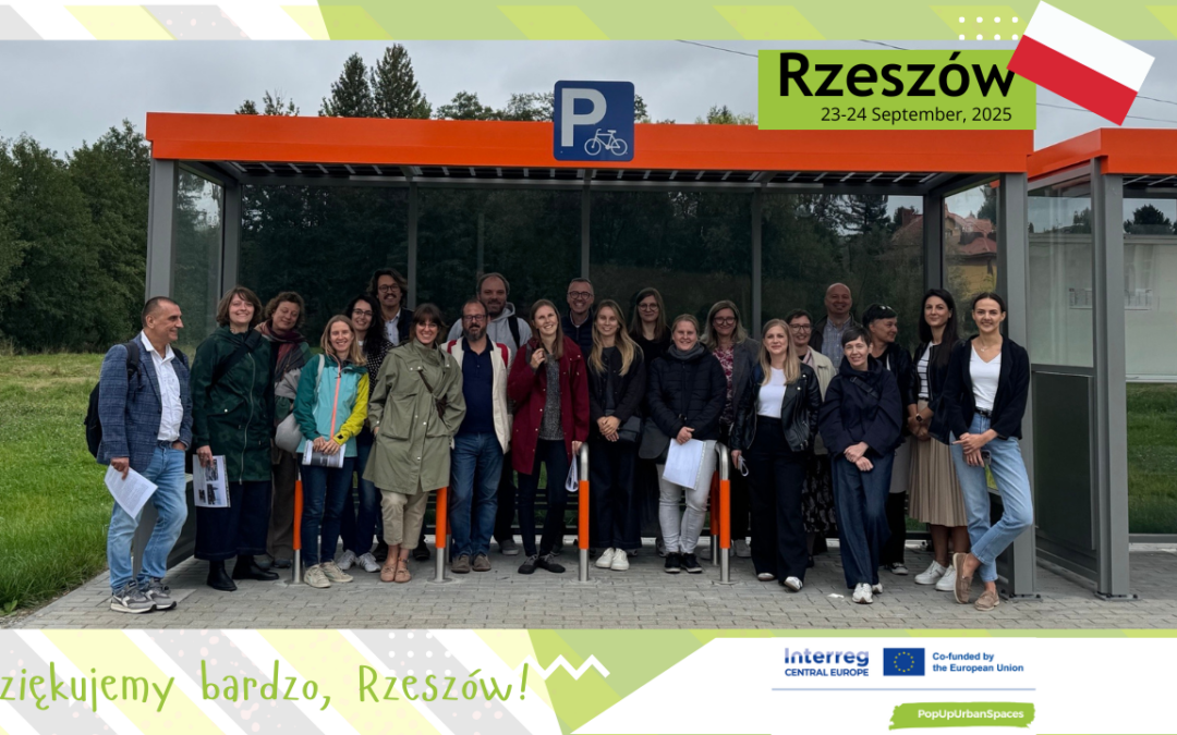 6th SC meeting in Rzeszów