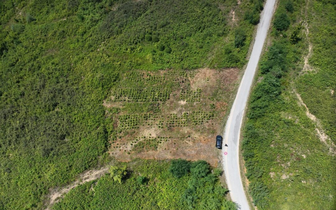 🚀🌳 RE-ENFORCE fieldwork update: combining ground-based and aerial monitoring in Croatia!