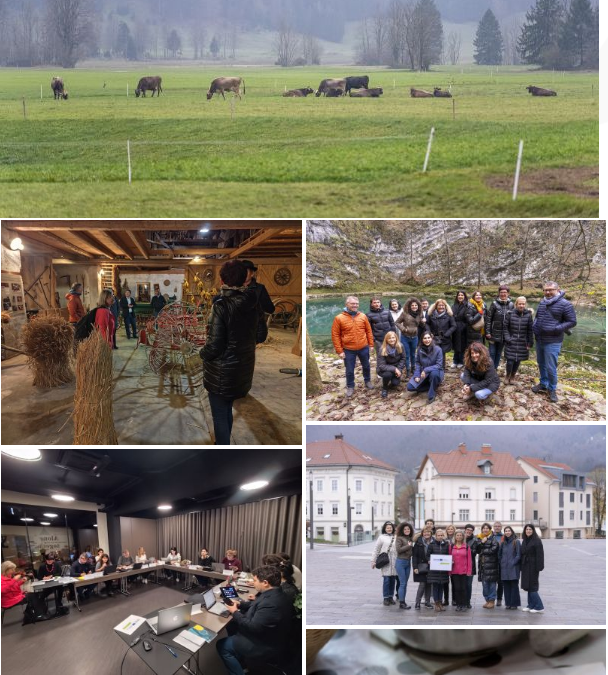 P11 ICRA website publication – Partner meeting in Slovenia