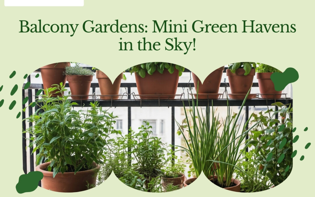 Balcony Gardens: Small Spaces with Big Climate Impact