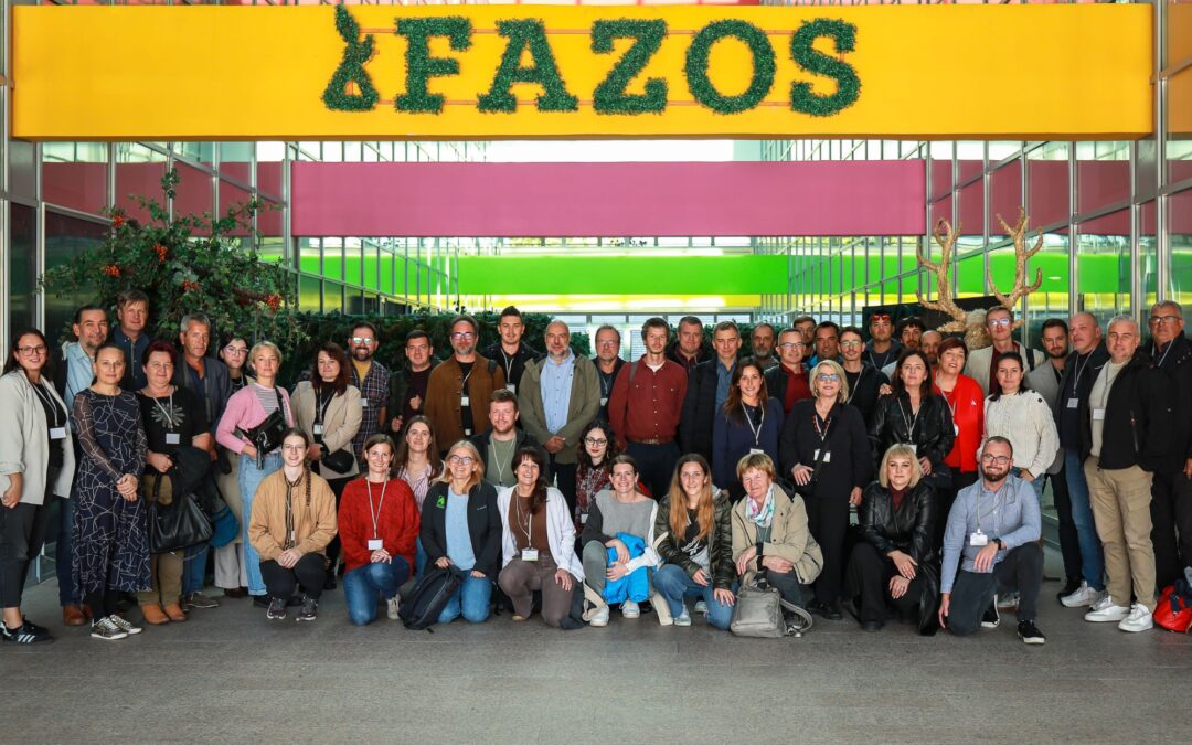 Transnational Train-the-Trainers Winter School Successfully Held in Osijek