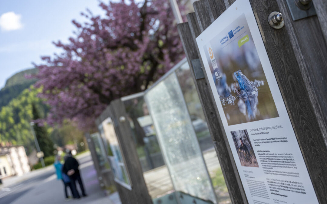 Common Heritage Narratives – best practice example: Exhibition “Wild planet, beautiful planet, my planet…”