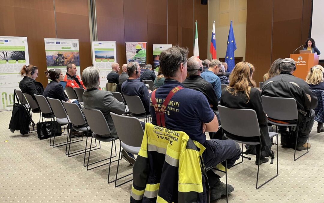 WILDFIRE CE presented at the IN4SAFETY Final Conference