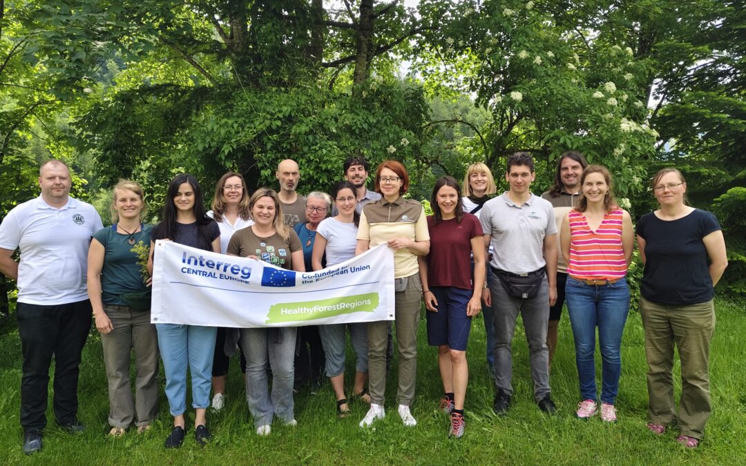 Nine partners, six regions, and a hundred different assumptions about forests.