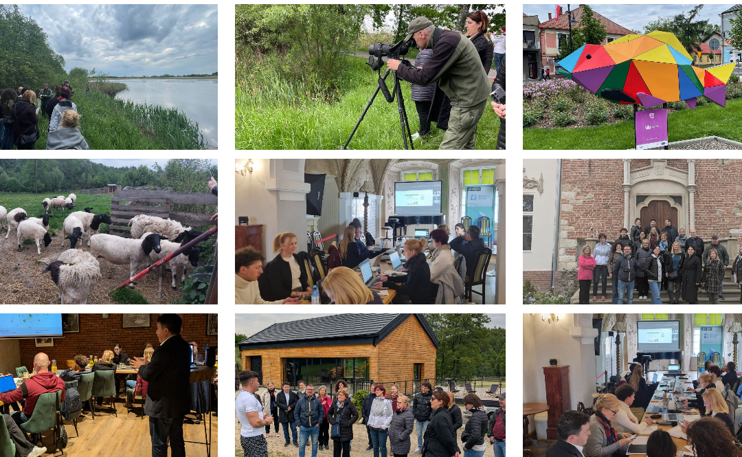 PP4 – Transnational partner meeting in Kraków