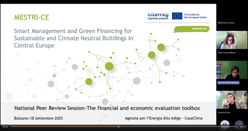 National Peer Review on Green Financing Models and Tools