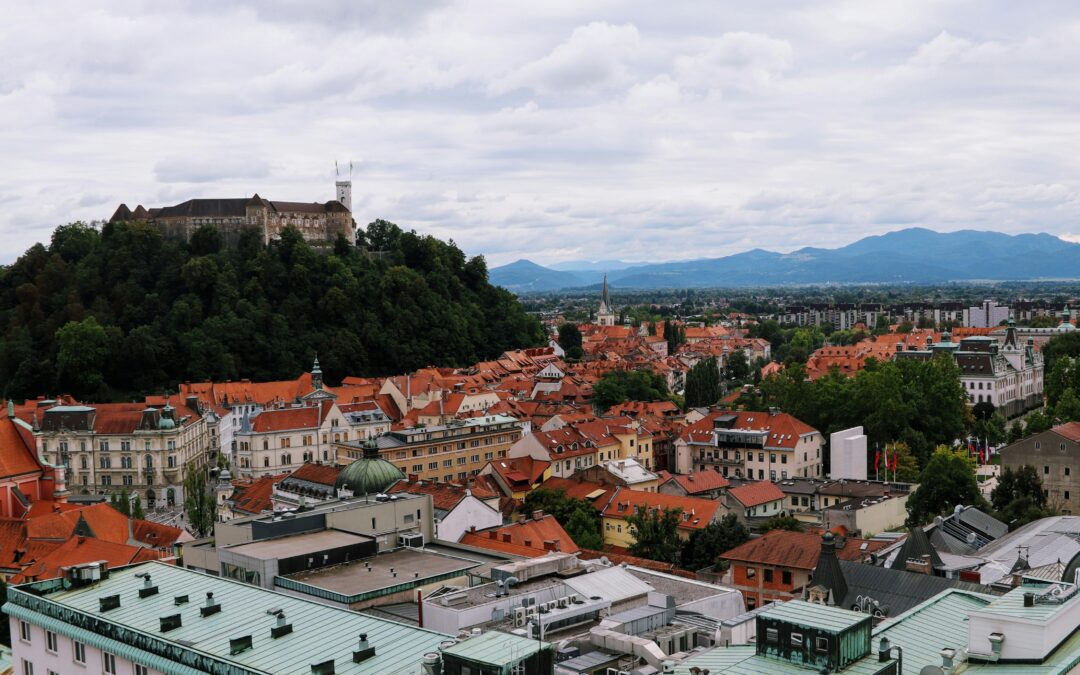 Bridging Innovation, Finance, and Creativity: Insights from Slovenia’s Innovation Ecosystem