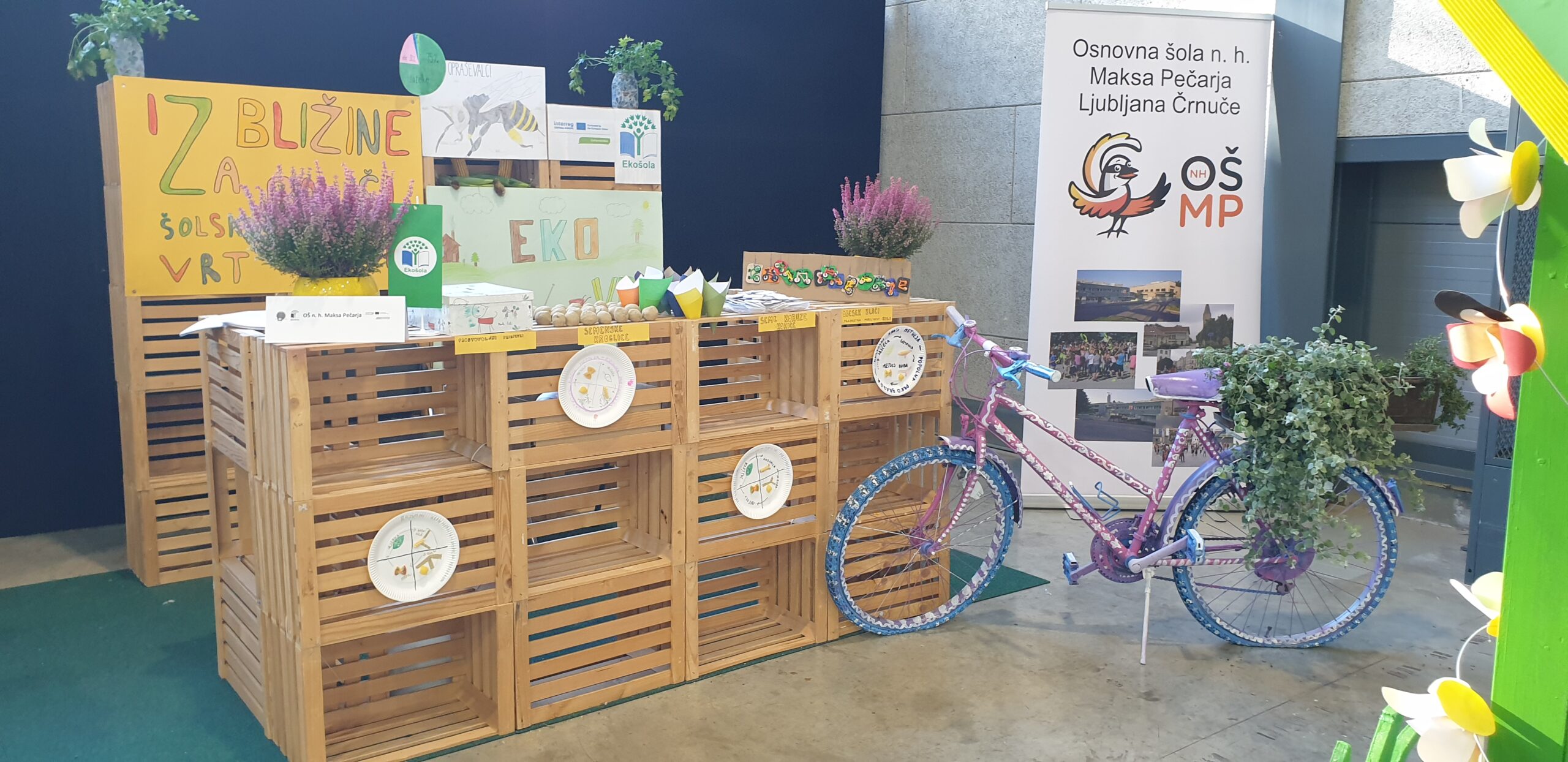 DOVES at Nature Health Fair 2025