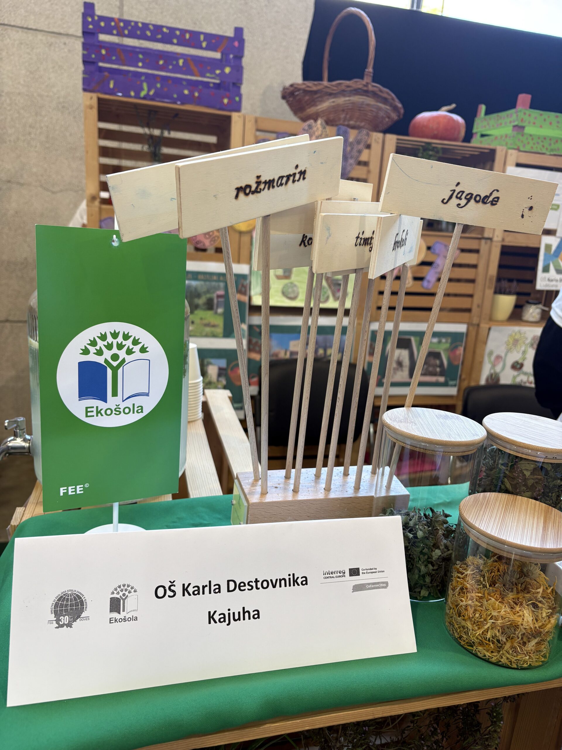 DOVES at Nature Health Fair 2025