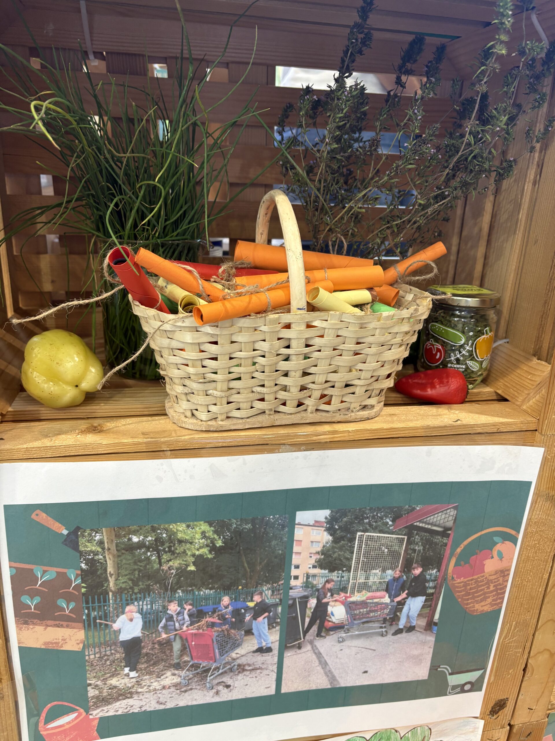 DOVES at Nature Health Fair 2025