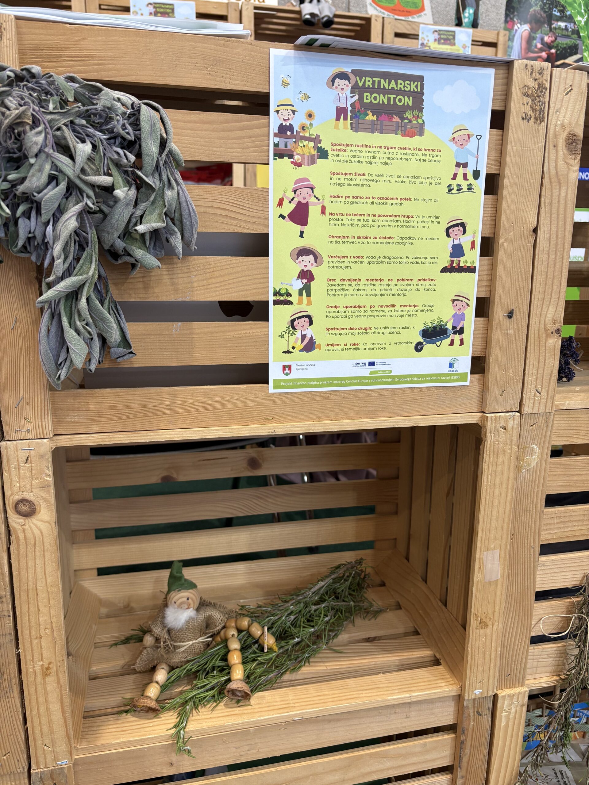 DOVES at Nature Health Fair 2025