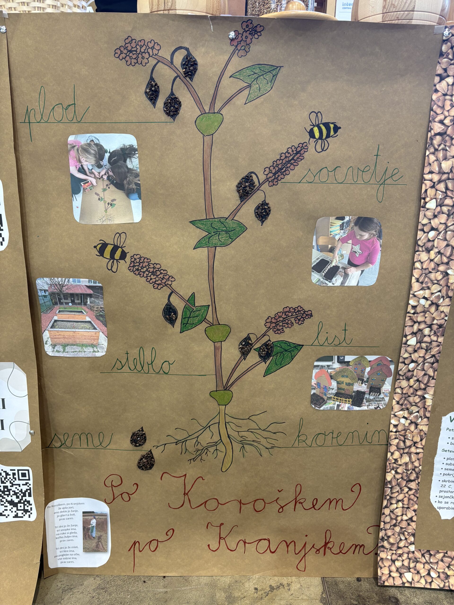 DOVES at Nature Health Fair 2025