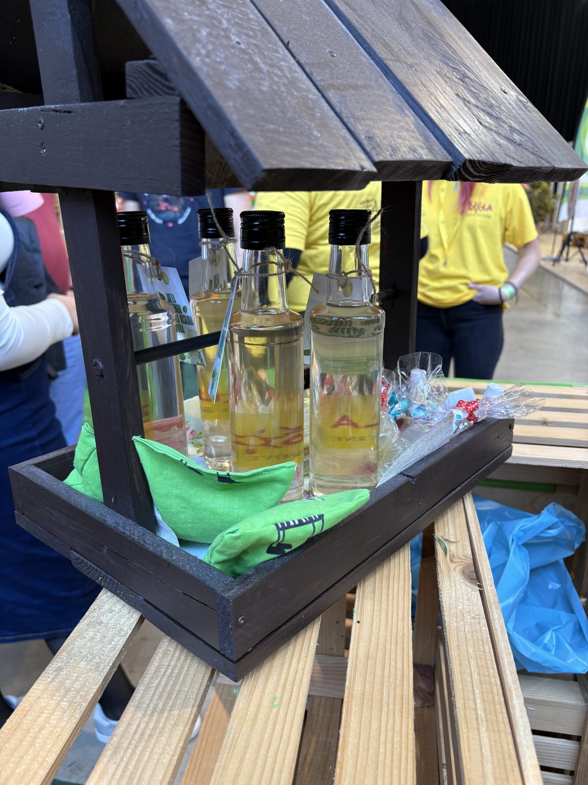 DOVES at Nature Health Fair 2025