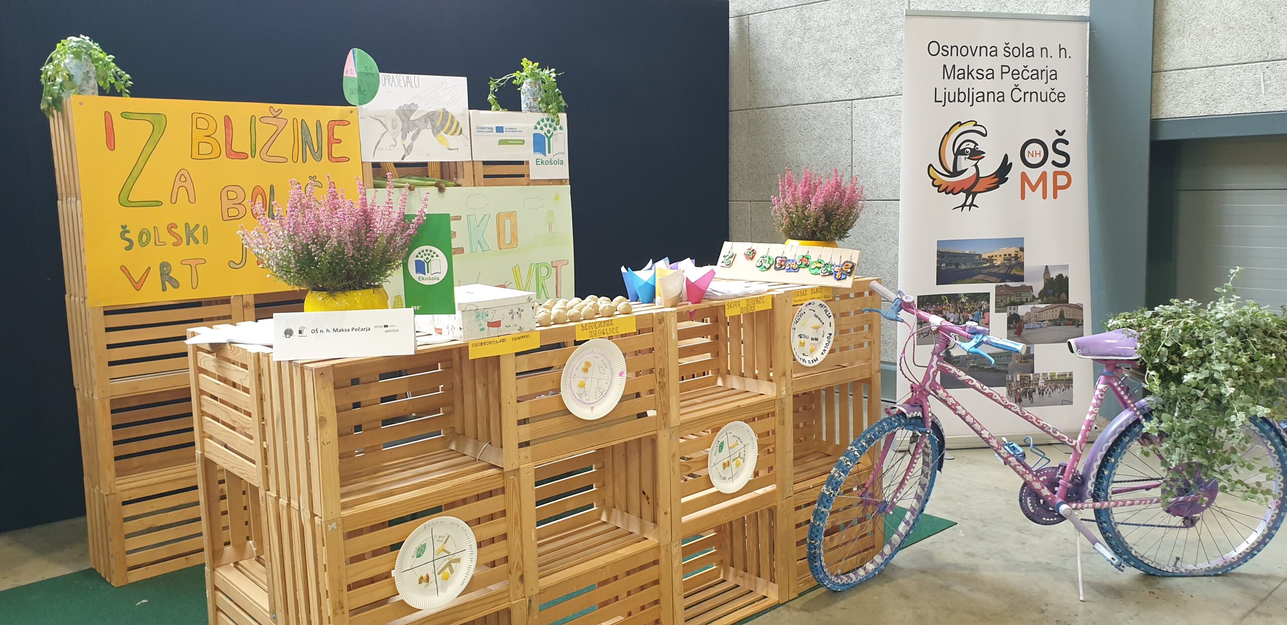 DOVES at Nature Health Fair 2025