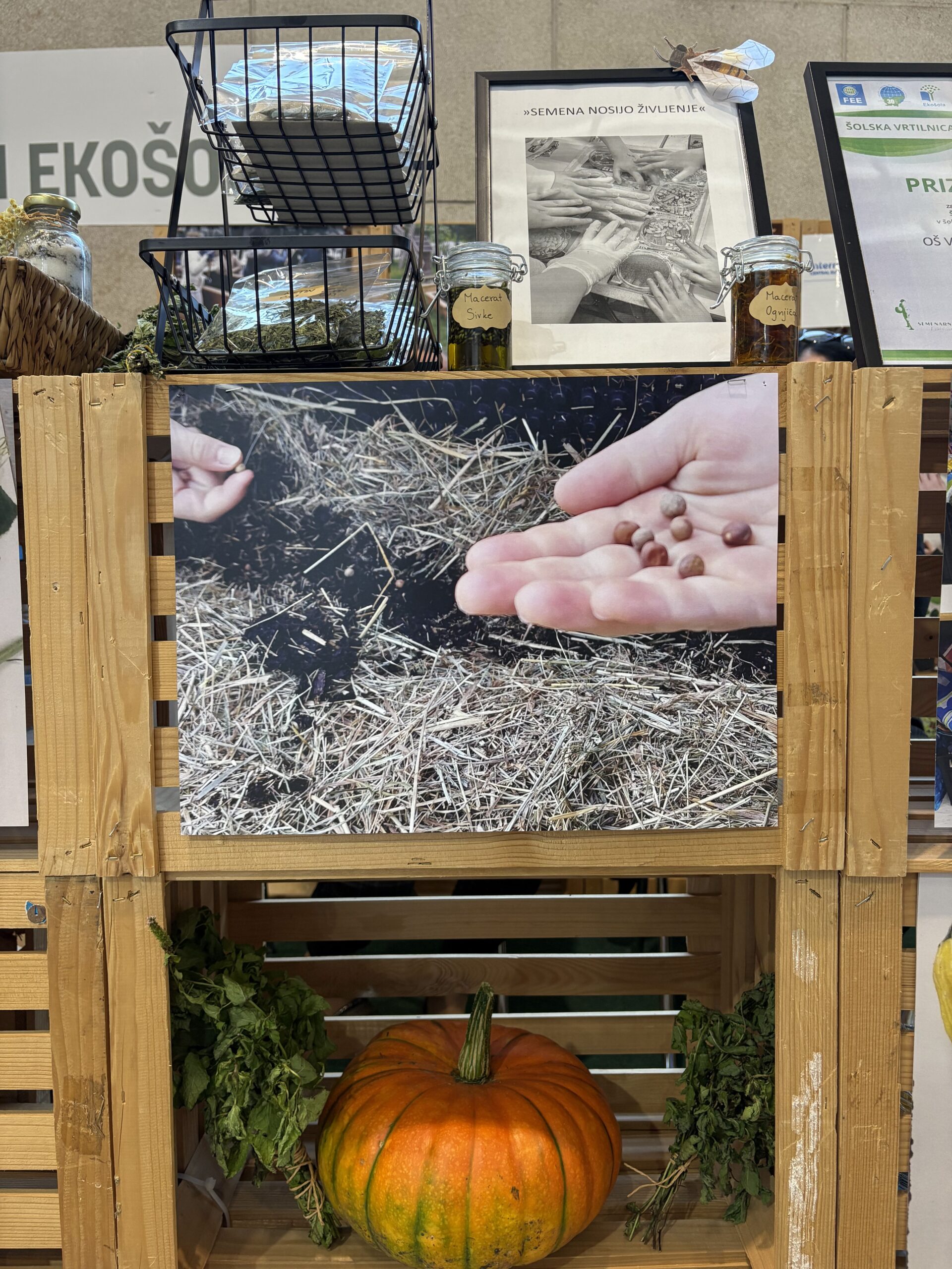 DOVES at Nature Health Fair 2025