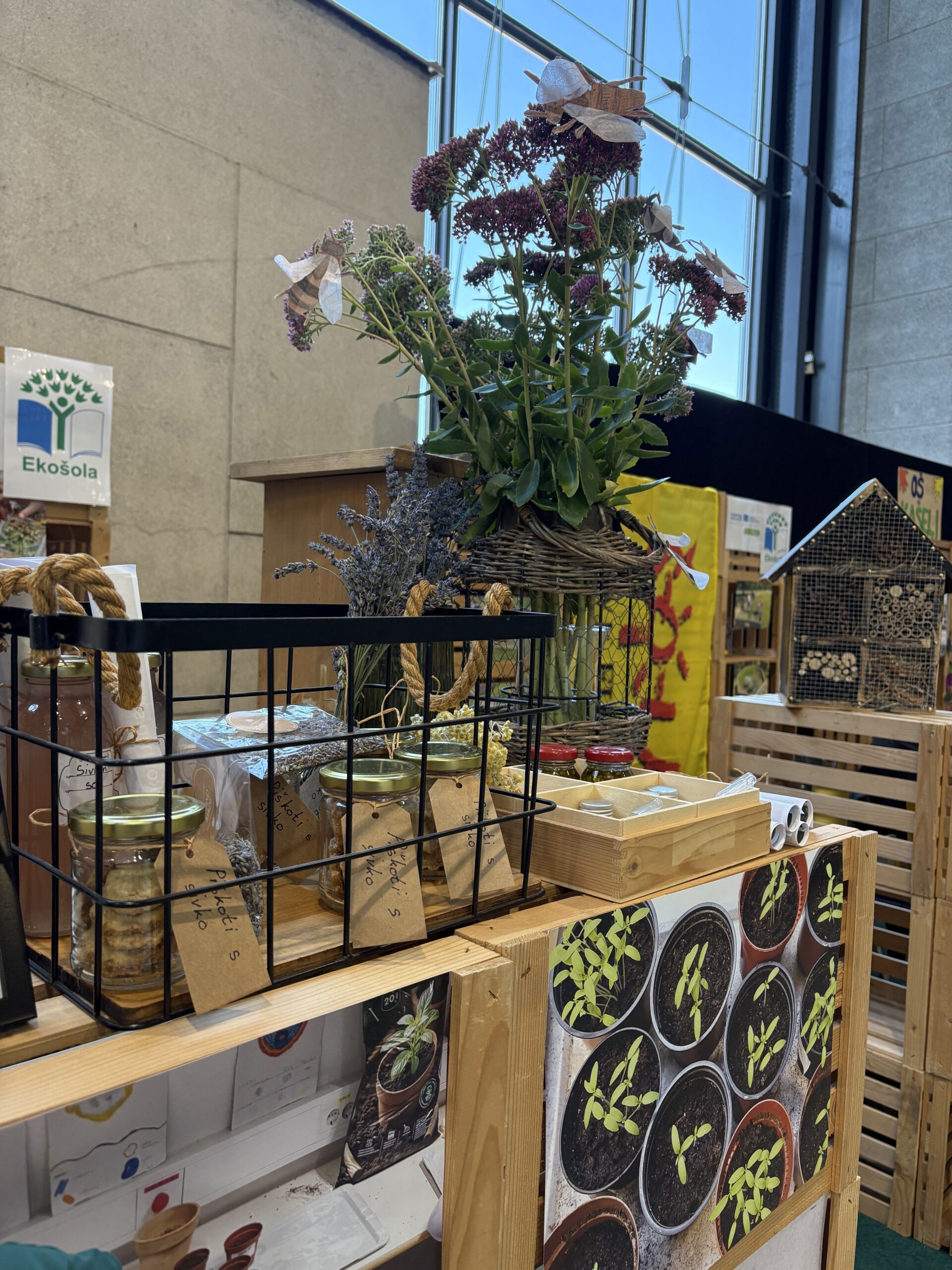 DOVES at Nature Health Fair 2025