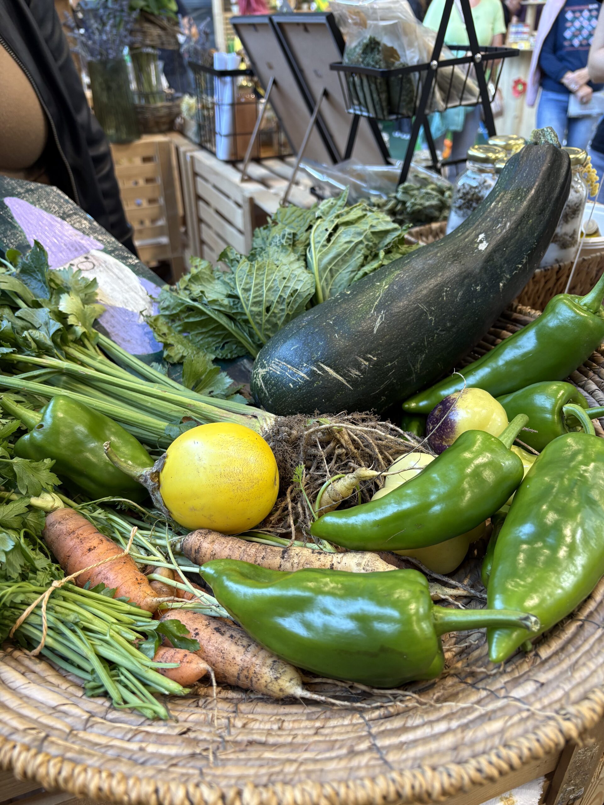 DOVES at Nature Health Fair 2025