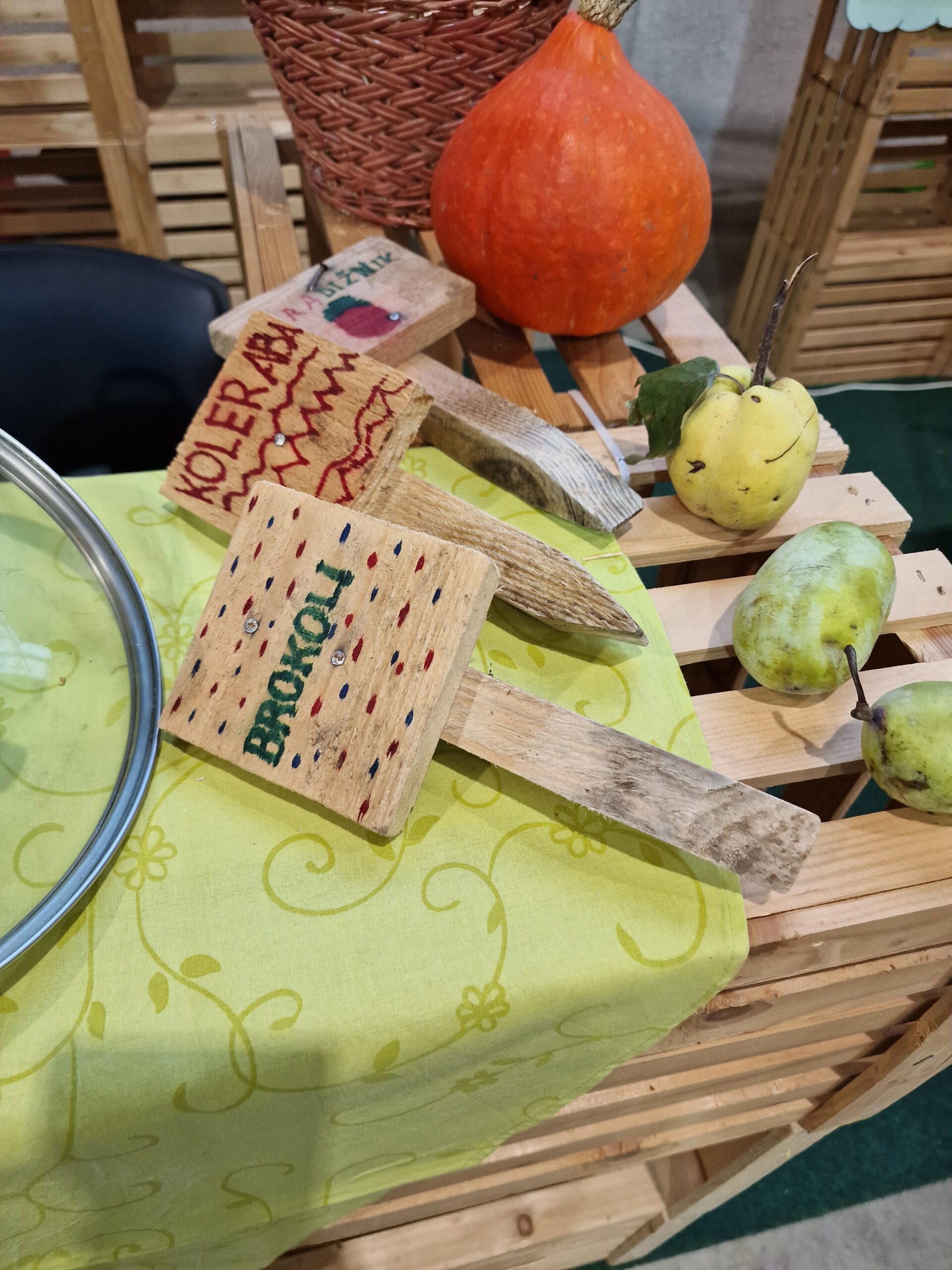 DOVES at Nature Health Fair 2025