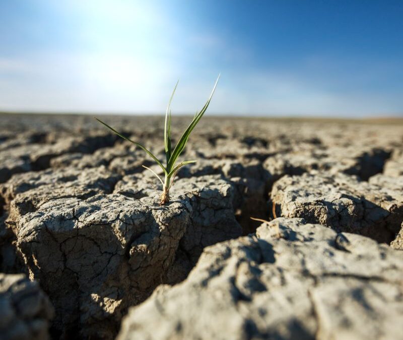 SAXON MUNICIPALITIES EXPLORE CLIMATE ADAPTATION AT DRESDEN WORKSHOP