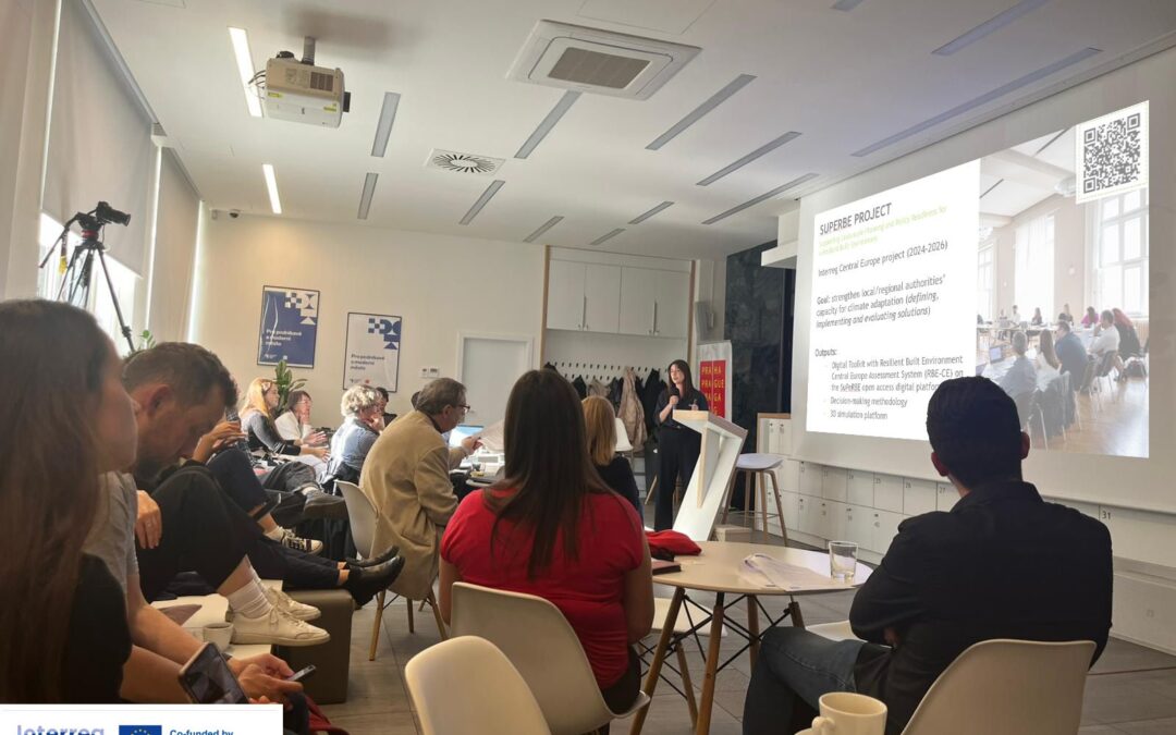 SuPeRBE Project Presentation at Consultation Meeting on Urban Resilience to Extreme Heat