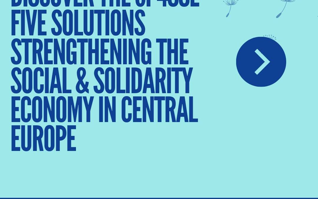 Co-Creating Change: Five Solutions Strengthening the Social and Solidarity Economy