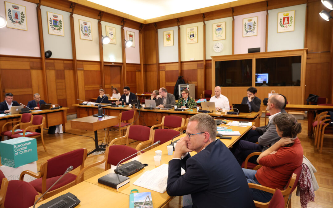 Partner Meeting and Thematic Workshop on Cross-Border Participatory Governance in the European Capital of Culture