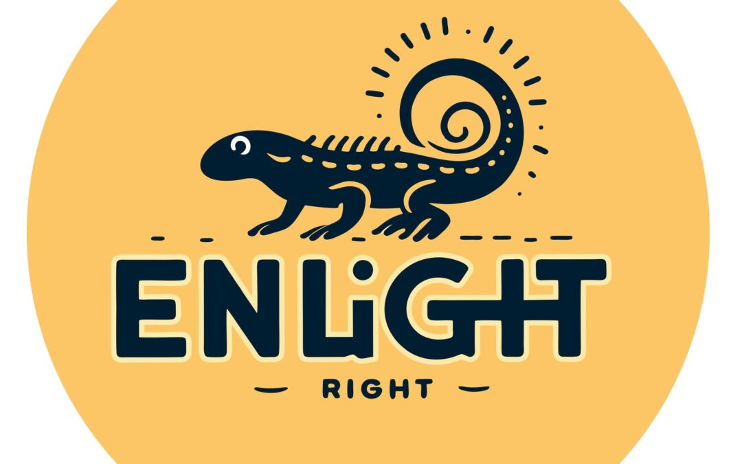 ENLIGHT Conference